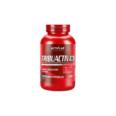 Tribuactiv B6 - 90caps