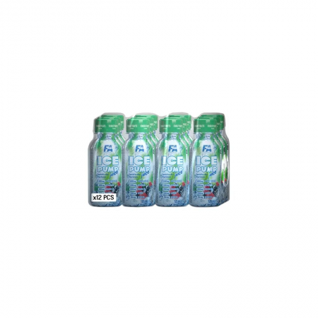 ICE Pump Juice - 120ml - Forest Fruit x12